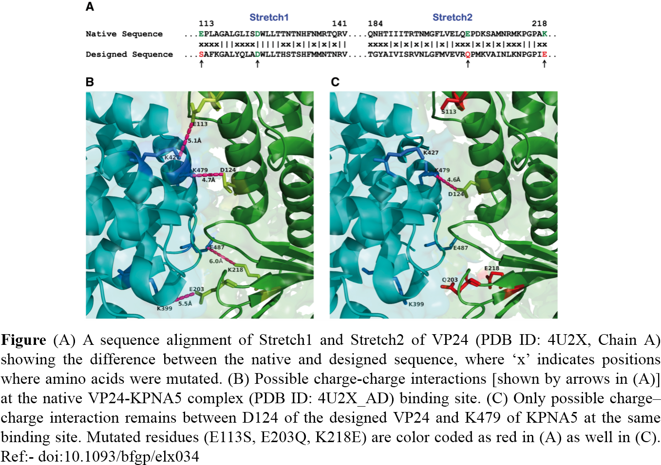 Therefore, We Proposed A Protein Interaction And Protein - Graphic Design Clipart (1396x977), Png Download