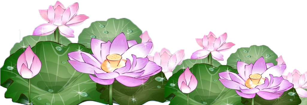 Lotus Clipart Hand Drawn - Lotus - Png Download (1024x768), Png Download