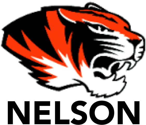 19 May 2016 - Missouri Tigers Clipart (587x527), Png Download