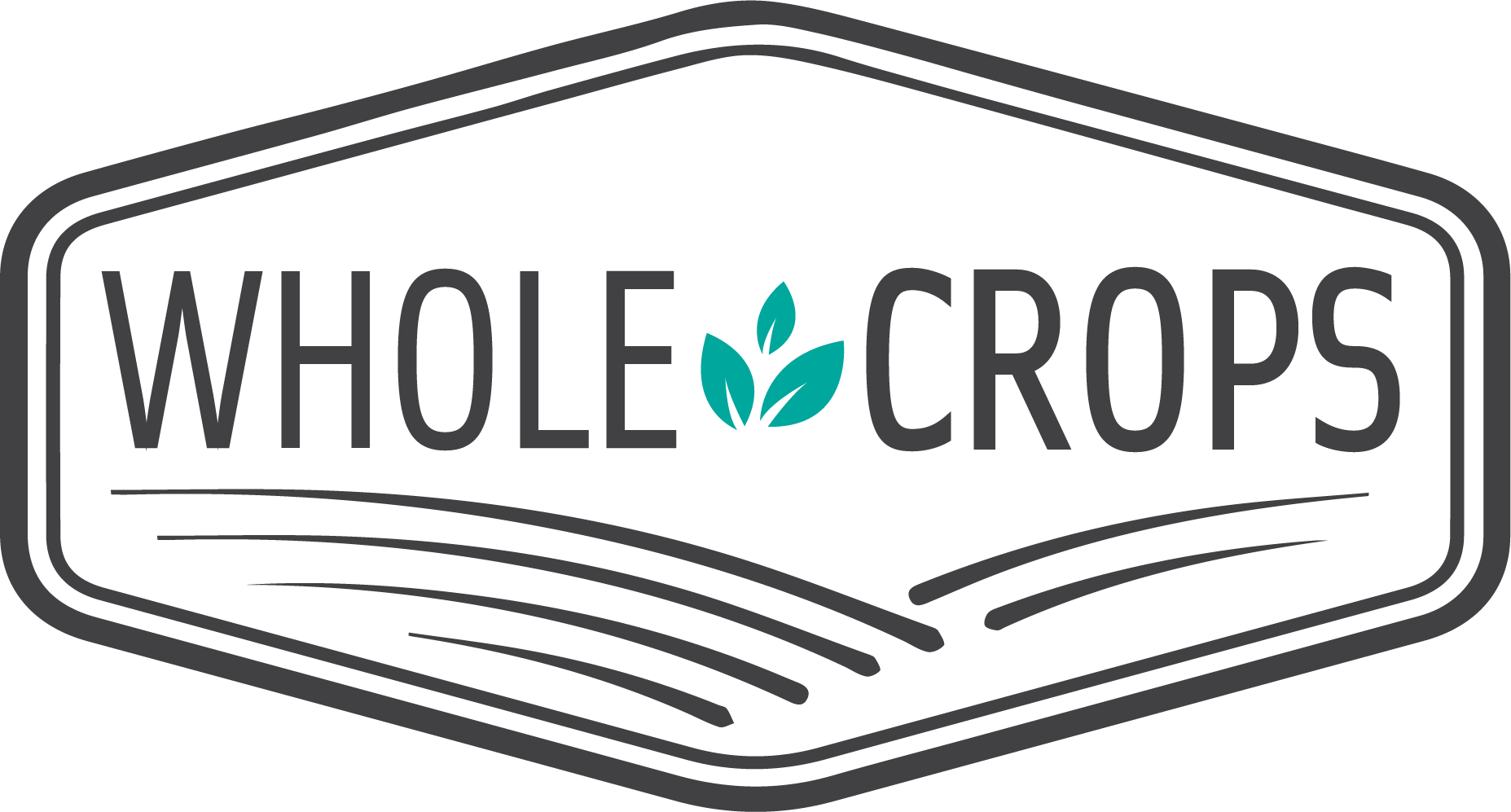 Clip Art - Png Download (1855x997), Png Download