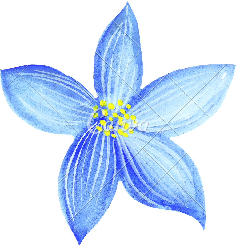 Hand Of Blue Flowers Photos By Canva - Water Color Pencil Flowers Clipart (767x800), Png Download