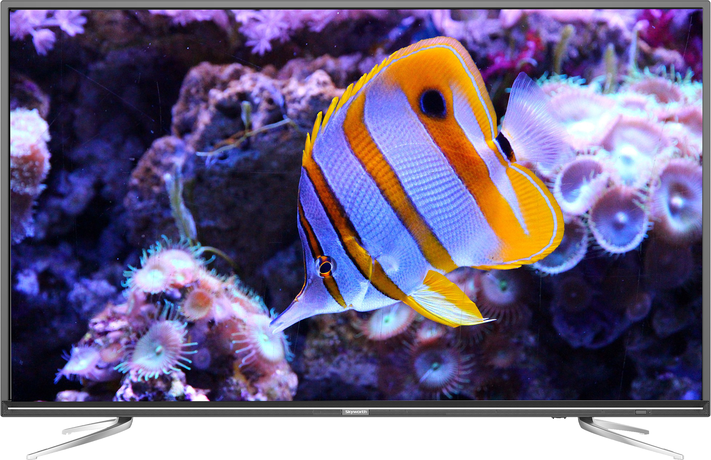 40" Basic Digital Led Tv - Saltwater Fish Clipart (2400x2400), Png Download