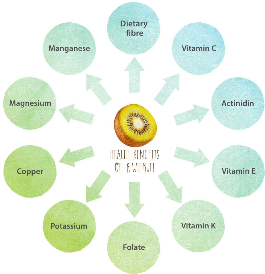 1 - - Circle Clipart (962x1000), Png Download