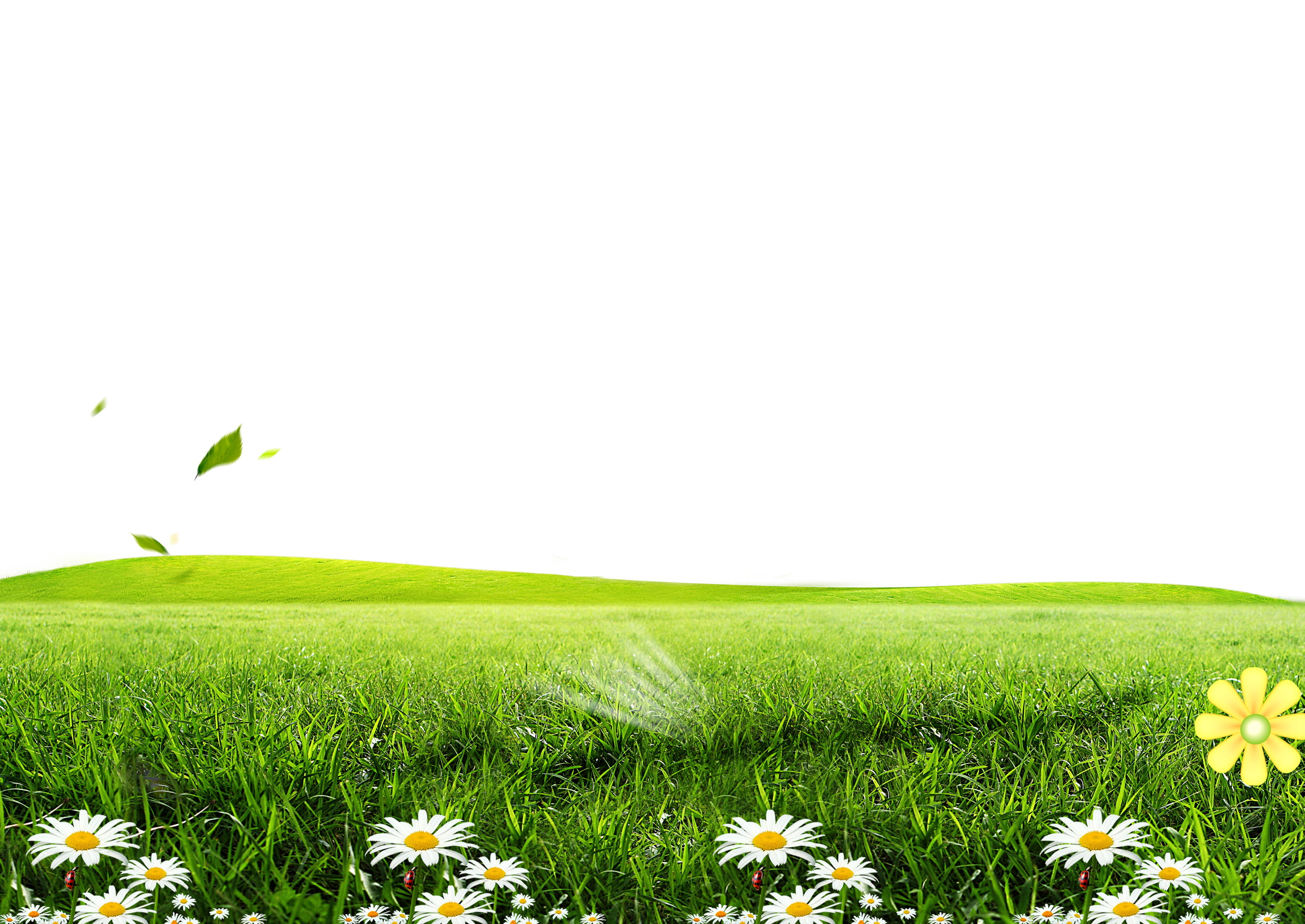 Green Lawn Poster Wallpaper Posters Flowers Transprent - Green Grass Background Png Clipart (2500x1770), Png Download