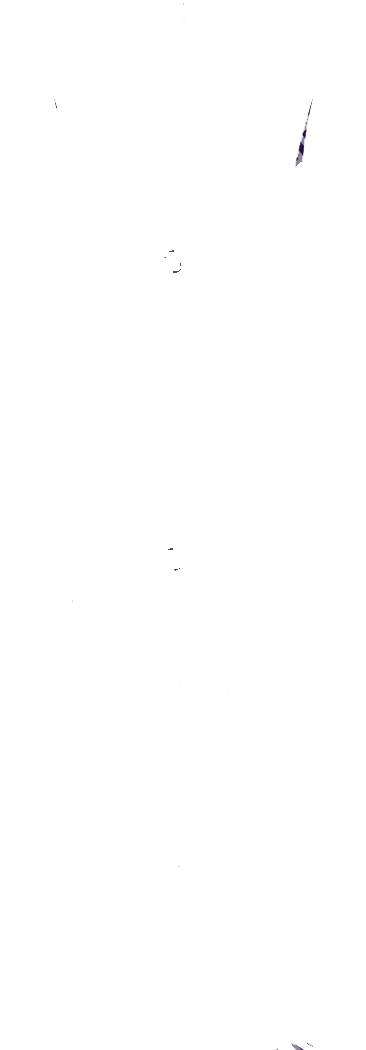 T-shirt Clipart (541x1062), Png Download