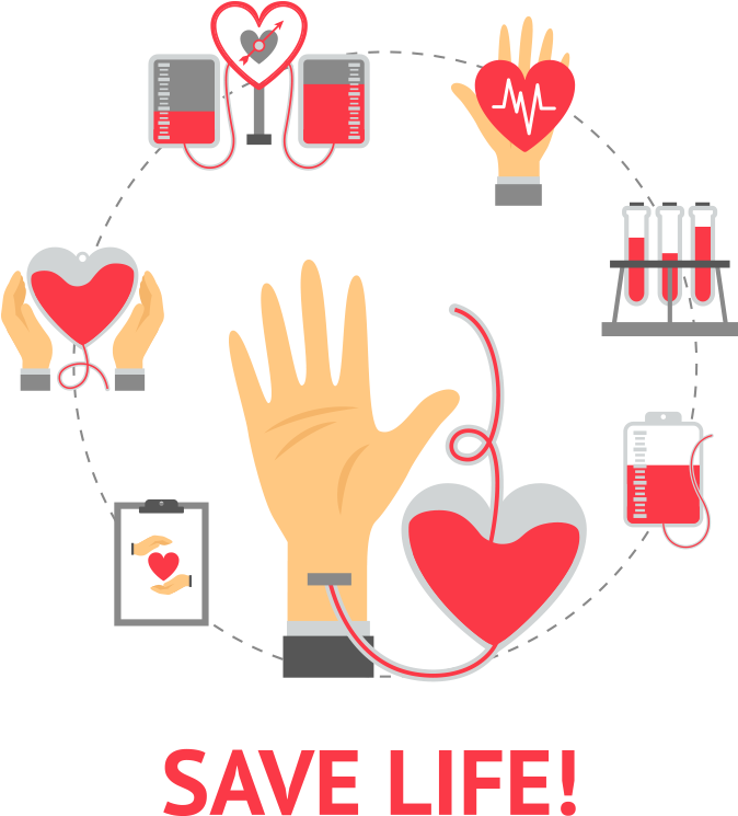 Human Bones - Illustration Clipart (750x750), Png Download