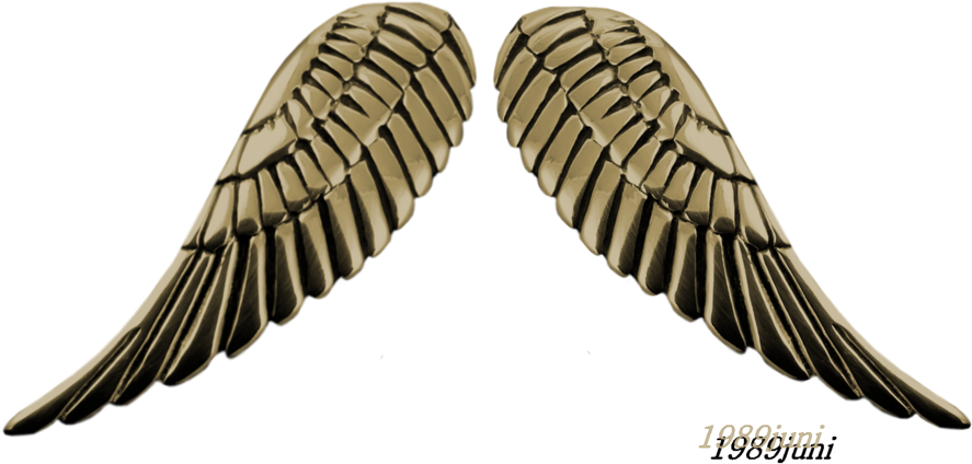 Robot Wings Png Clipart (900x459), Png Download