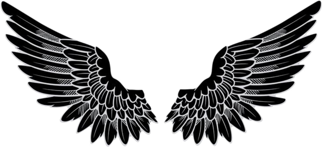 Angel Wings Logo Png , Png Download Clipart (1040x477), Png Download