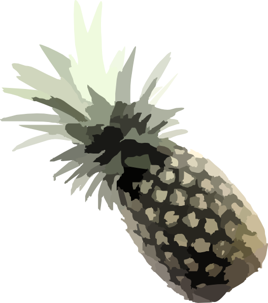 Pineapple Png Clipart (528x596), Png Download