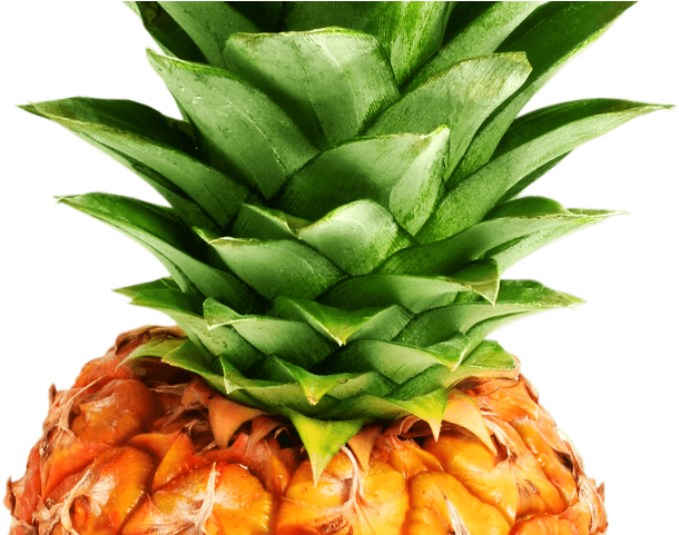 Pineapple Png Transparent Images - Pineapple Png Clipart (640x480), Png Download