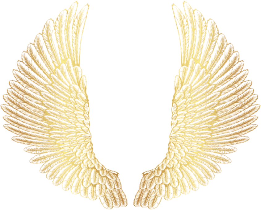 Free Png Download Gold Wings Clipart Png Photo Png - Golden Wings Png Transparent Png (850x695), Png Download