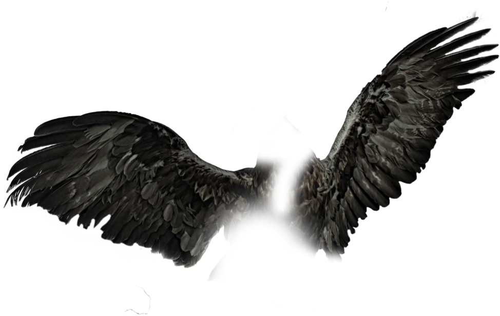 Dark Wings Png Black Wings Pngs Clipart (974x616), Png Download