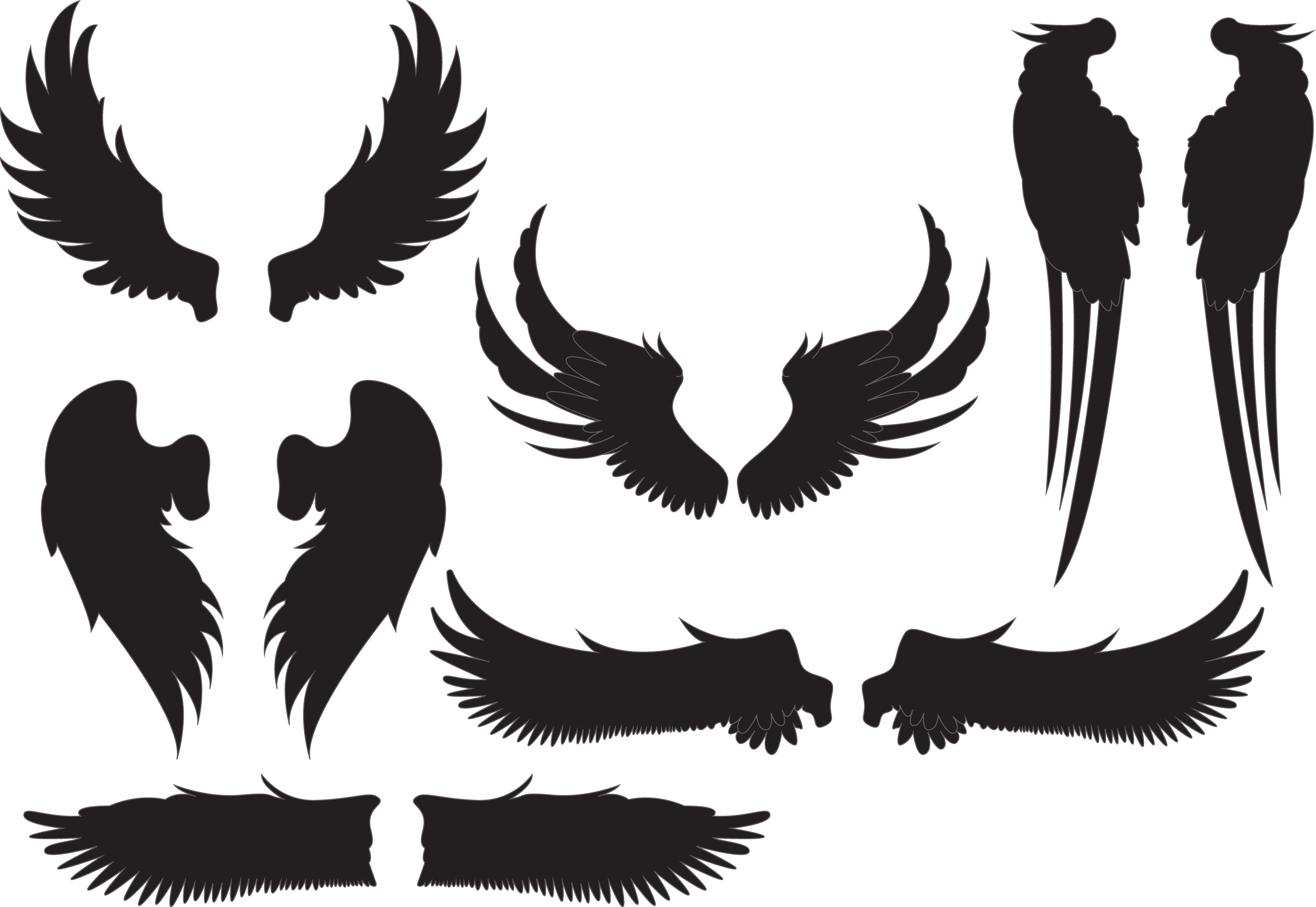 5350 X 3690 10 - Angel Wings Silhouette Clipart (5350x3690), Png Download