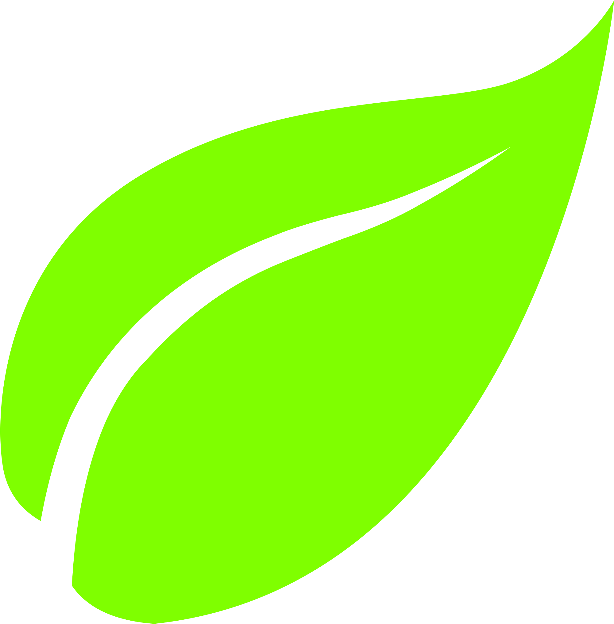 Leaf Png - Leaf Icon Svg Clipart (1003x1024), Png Download