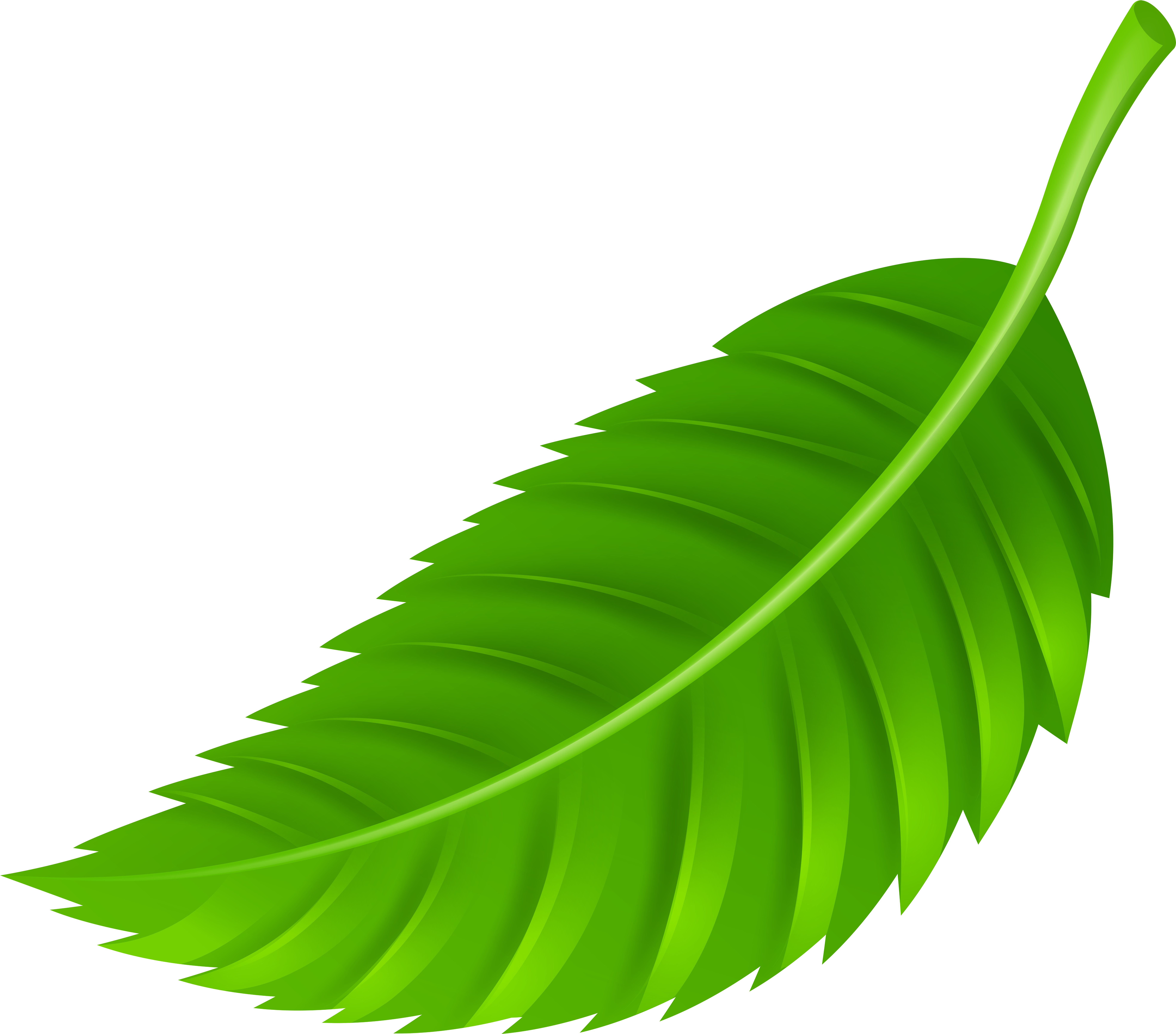 Leaf Png Clip Art Transparent Png (8000x7245), Png Download