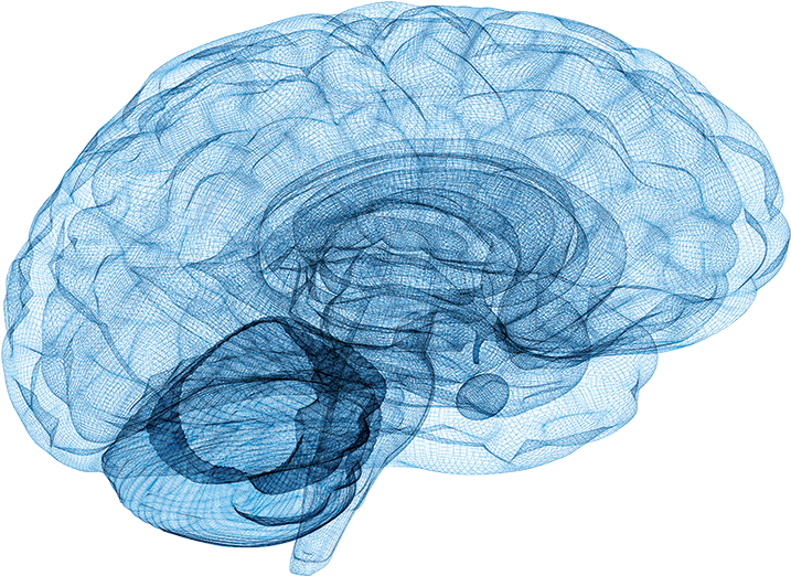 Our Approach - Neuro Brain Clipart (918x698), Png Download