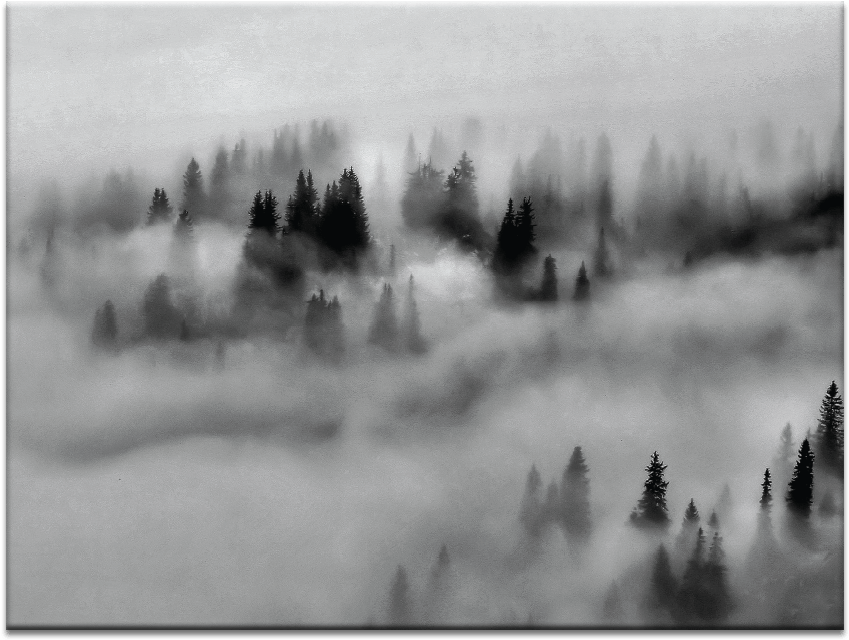 Ground Fog - Monochrome Clipart (900x900), Png Download