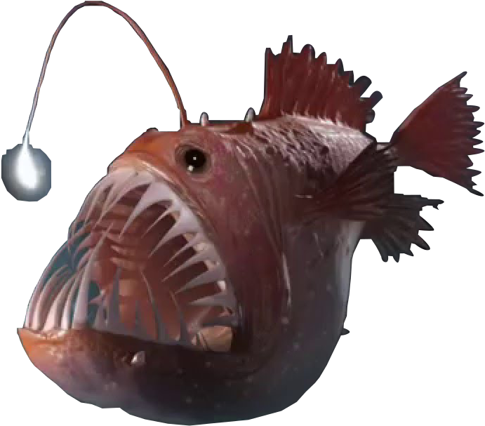 Angler Fish Png - Angler Fish Eating Clipart (709x624), Png Download