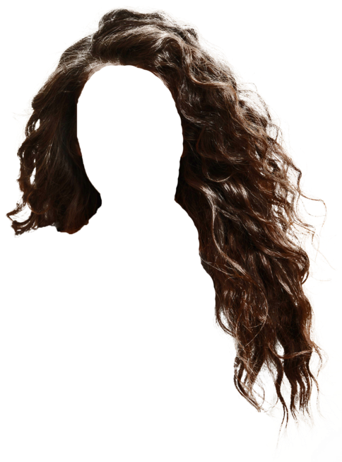 Hair Png Clipart (500x661), Png Download