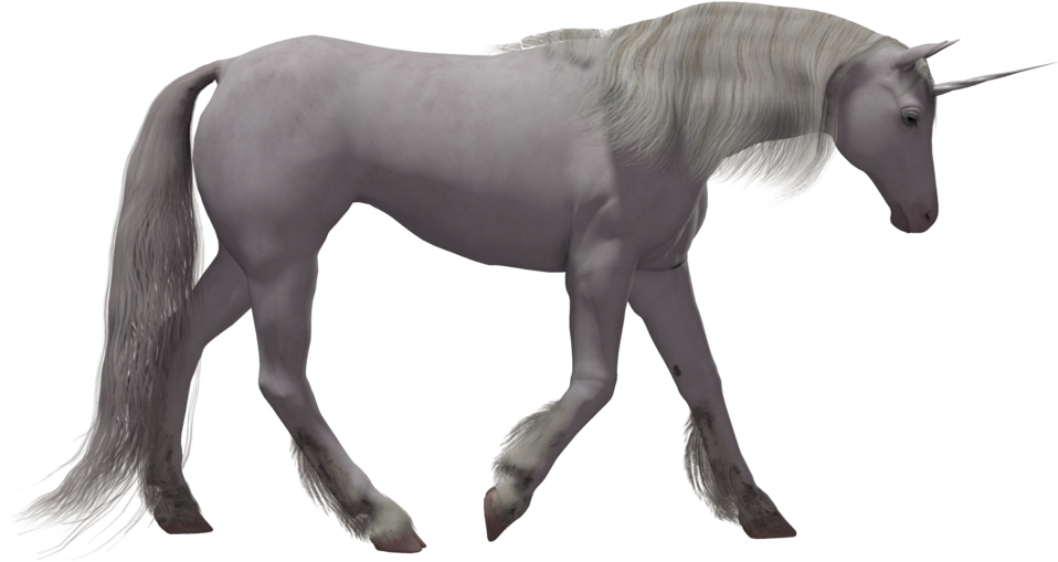 Unicorn - Unicorn 3d Png Clipart (1024x645), Png Download