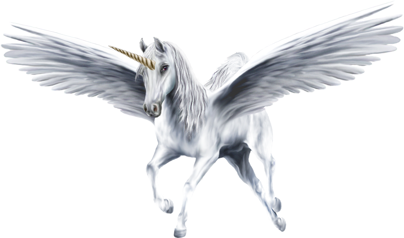 1300 X 931 7 - Unicorn With White Background Clipart (1300x931), Png Download