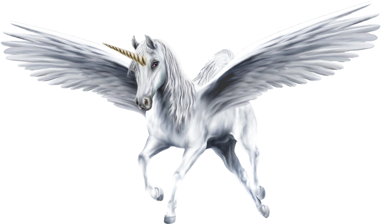 1300 X 931 7 - Unicorn With White Background Clipart - Large Size Png