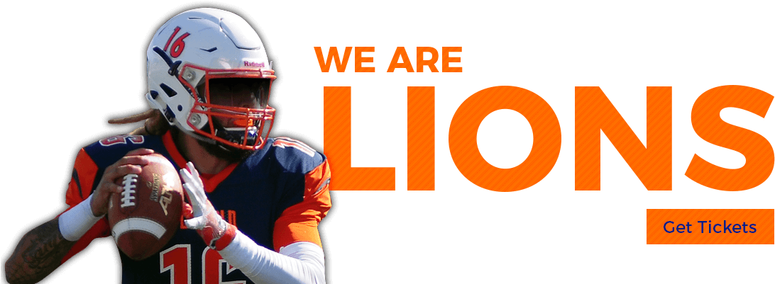 Promo Rotator - Face Mask Clipart (1200x400), Png Download