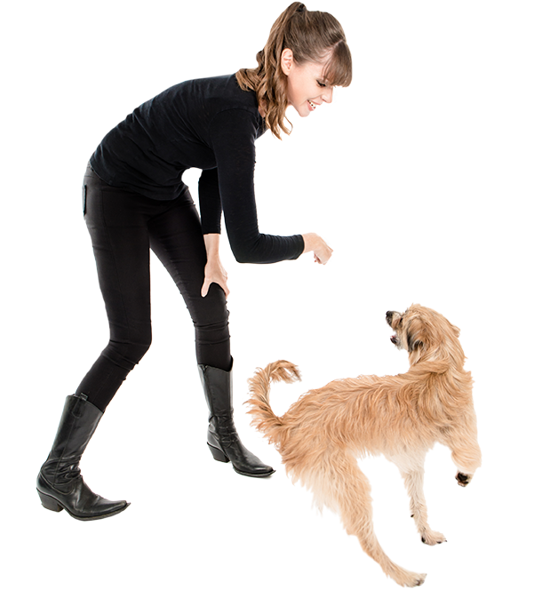 The Vsa Philosophy - Cat Clipart (689x710), Png Download