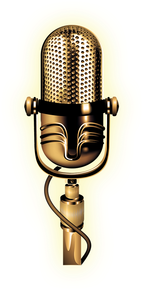 Gold Microphone Png , Png Download - Gold Condenser Microphone Png Clipart (489x988), Png Download