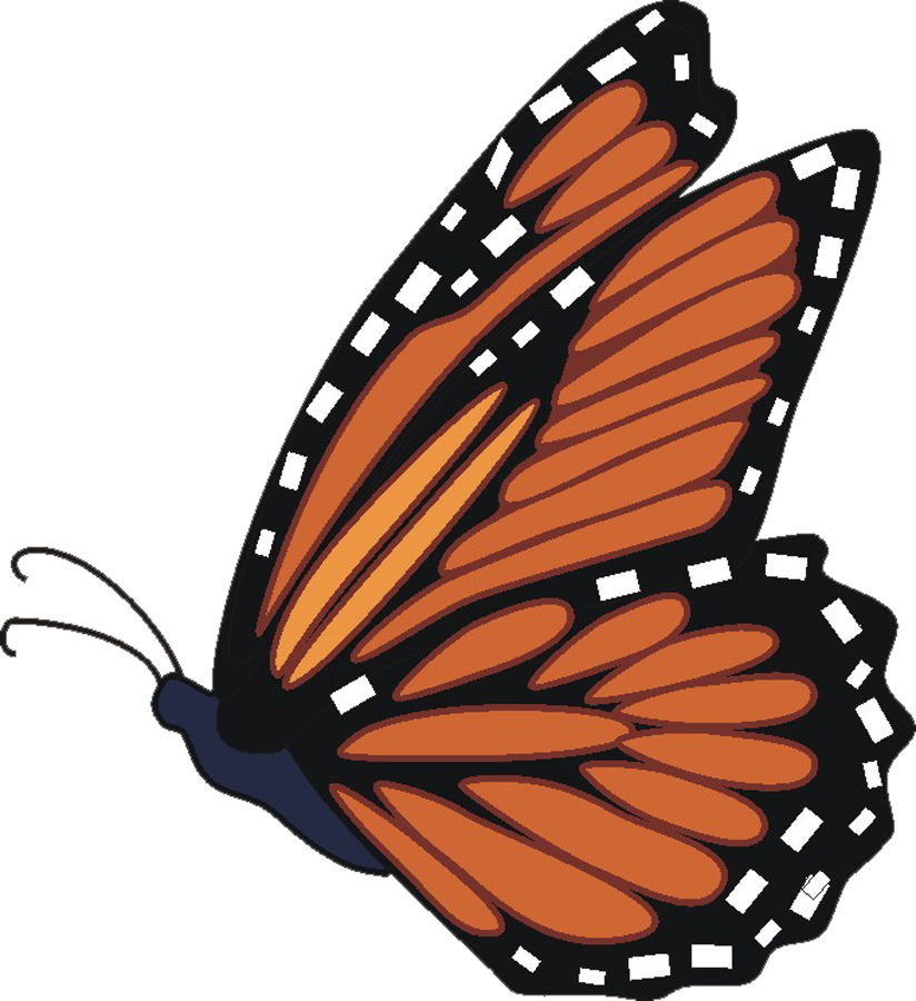 Monarch Butterfly Clipart - Cartoon Monarch Butterfly Flying - Png Download (824x900), Png Download