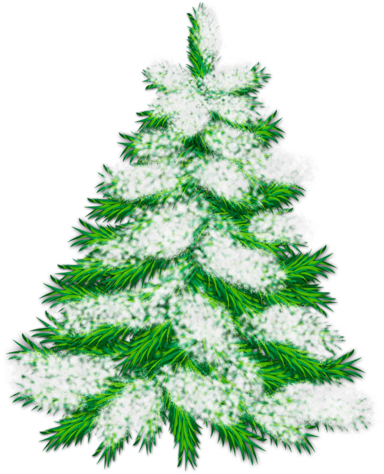 Picture Freeuse Stock Snowy Trees Clipart - Snowy Christmas Tree Clipart - Png Download (559x706), Png Download