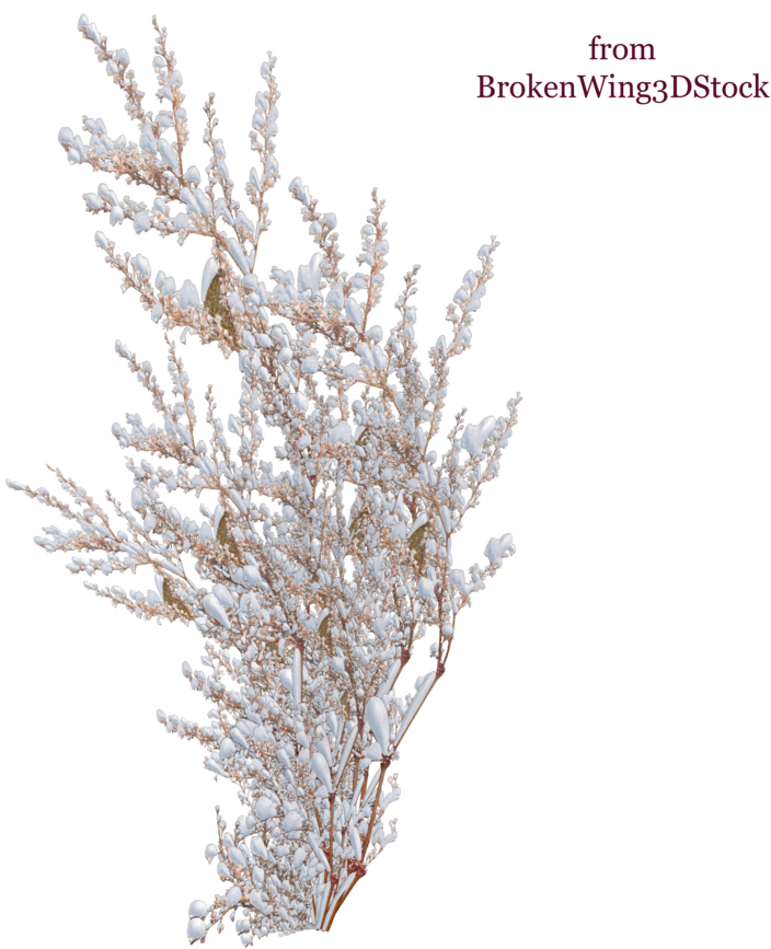 E 2823901505 - Bush Snow Png Clipart (900x900), Png Download