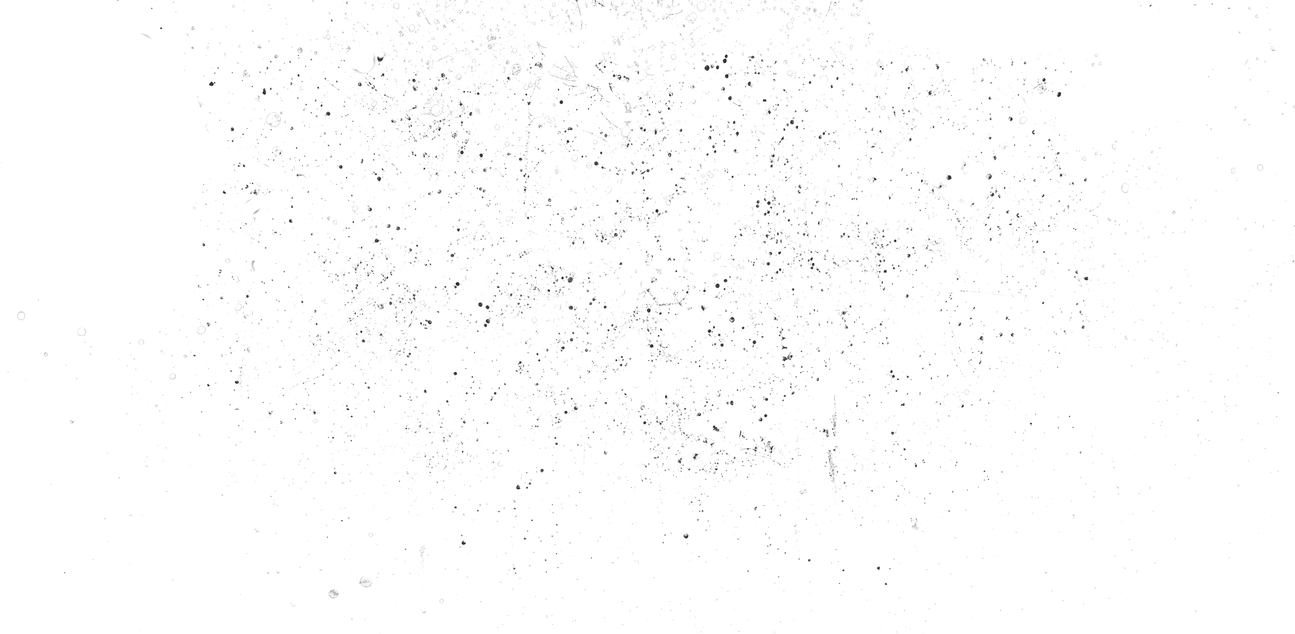 Tour - Bird Clipart (2560x1254), Png Download