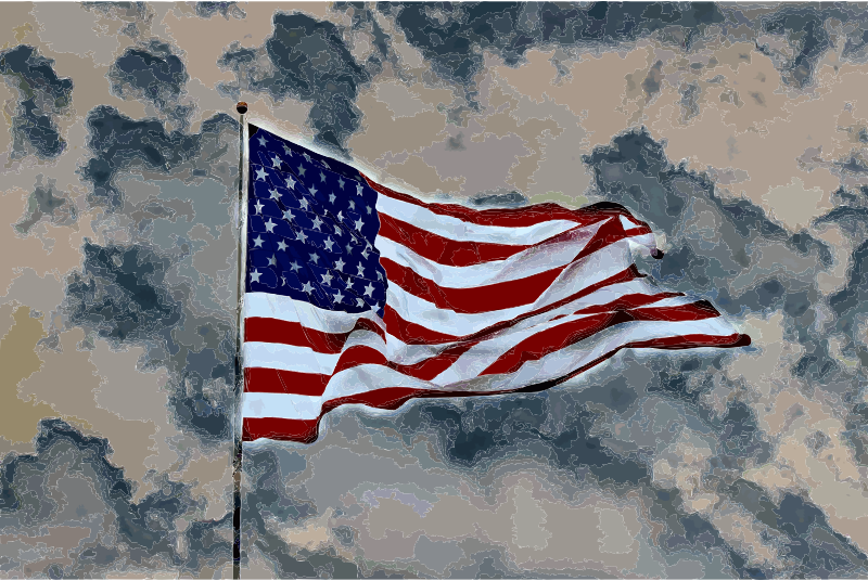 Medium Image - Flag Of The United States Clipart (800x536), Png Download