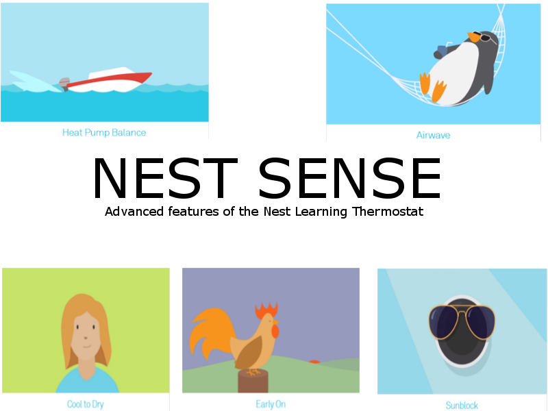 Cartoon Clipart (800x600), Png Download