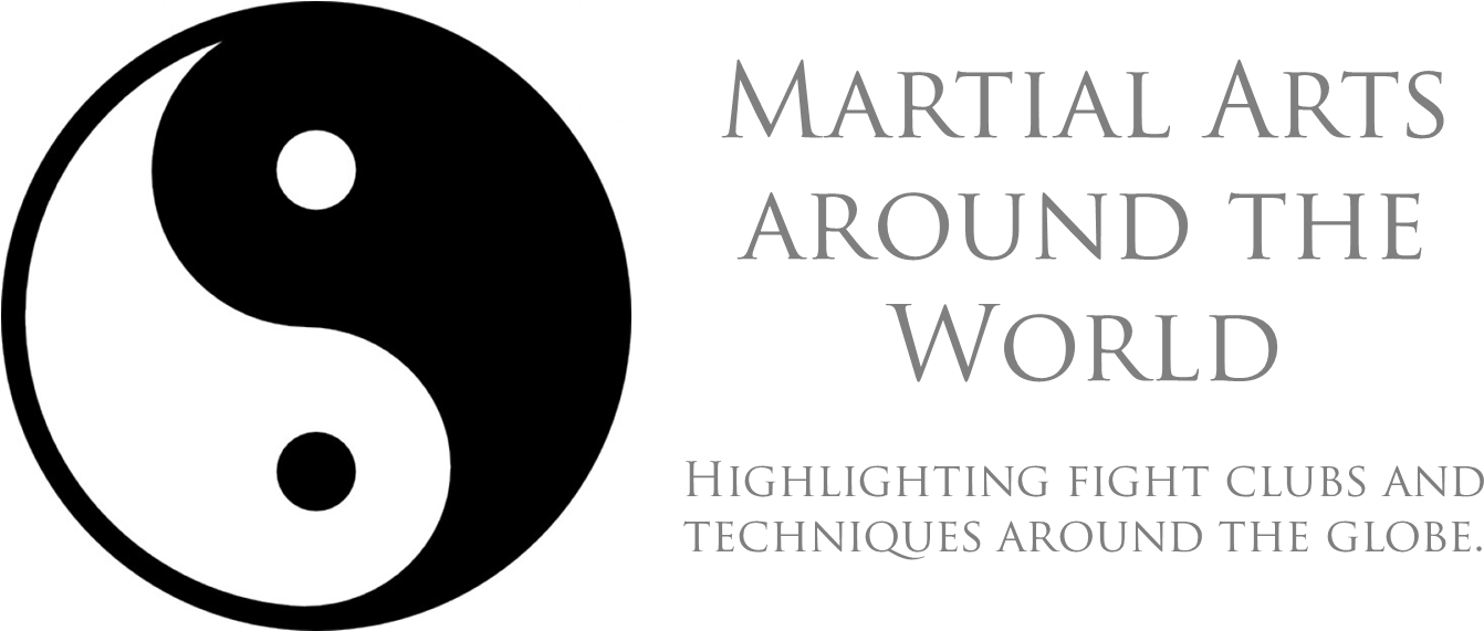 Martial Arts Around The World - Martial Arts Logo Png Clipart (1342x571), Png Download