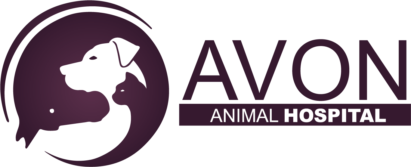 Logo Avon Png - Vca Animal Hospitals Clipart (1734x871), Png Download