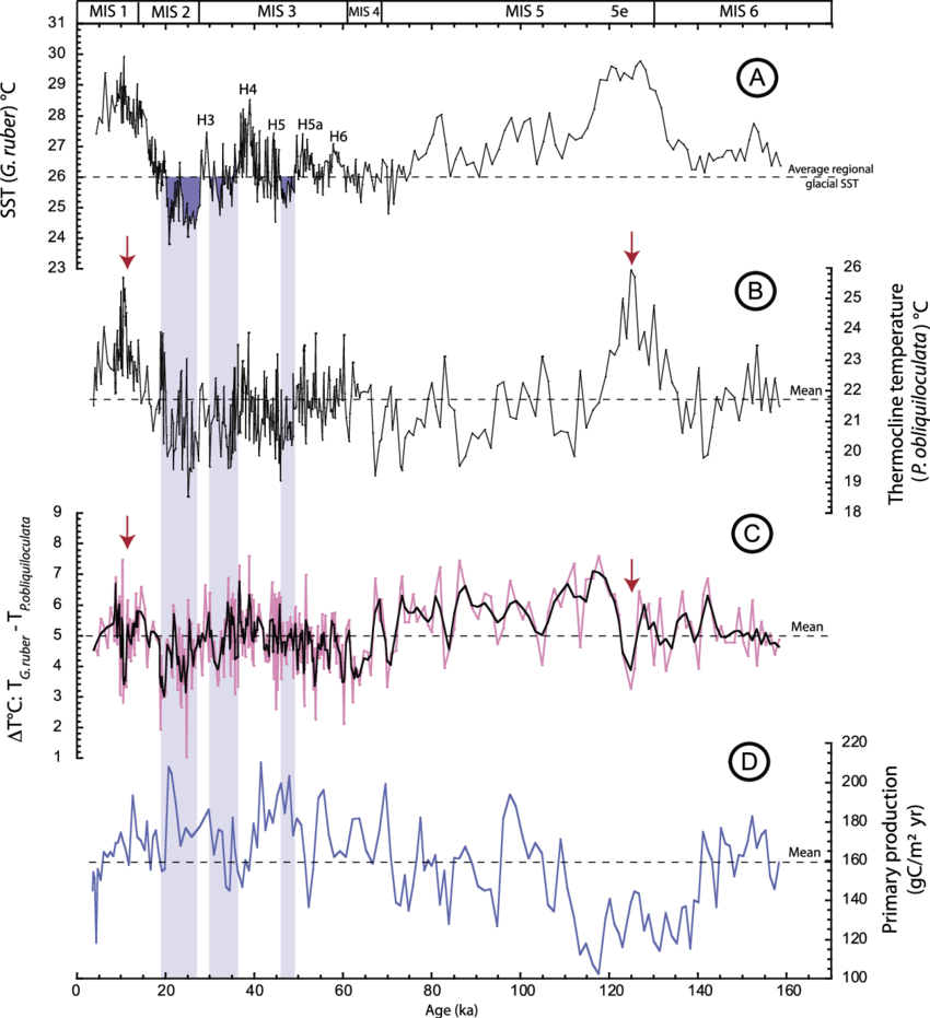 Records Of Surface‐to‐thermocline Temperature Contrast - Handwriting Clipart (850x931), Png Download