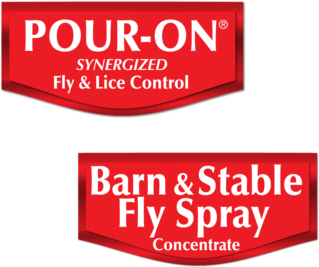 Revenge Line For Pbr Zoom - Printing Clipart (1080x1440), Png Download