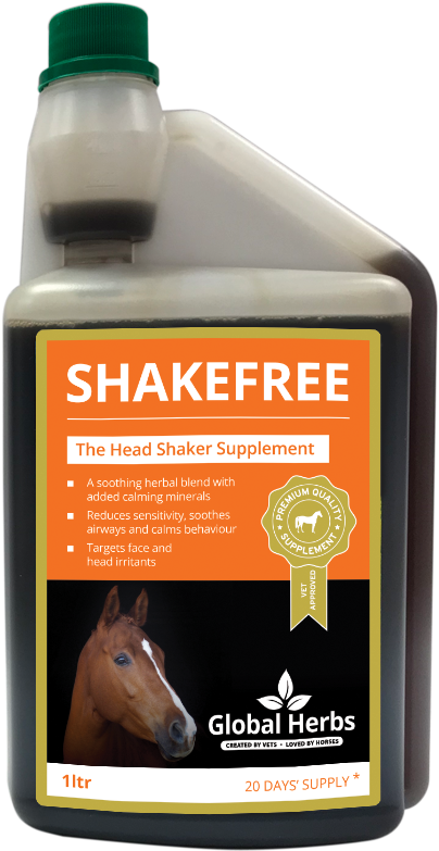 Horse Face Png - Sorrel Clipart (404x783), Png Download