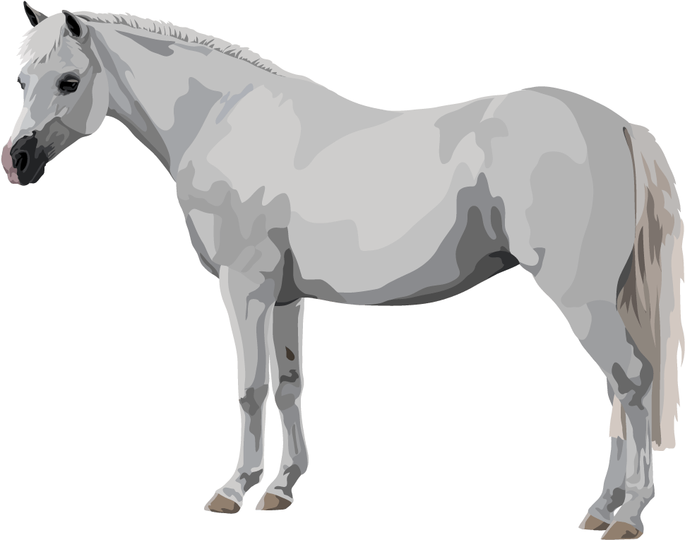 Mustang Horse Clipart (1800x1400), Png Download