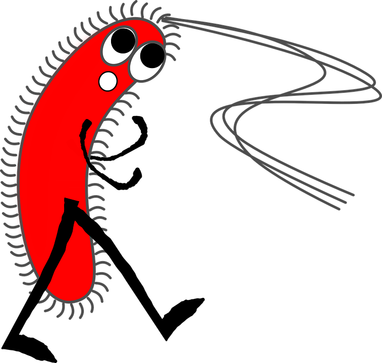 Germ Virus Bacteria Infection Organism Illness - Salwan Public School Logo Clipart (757x720), Png Download