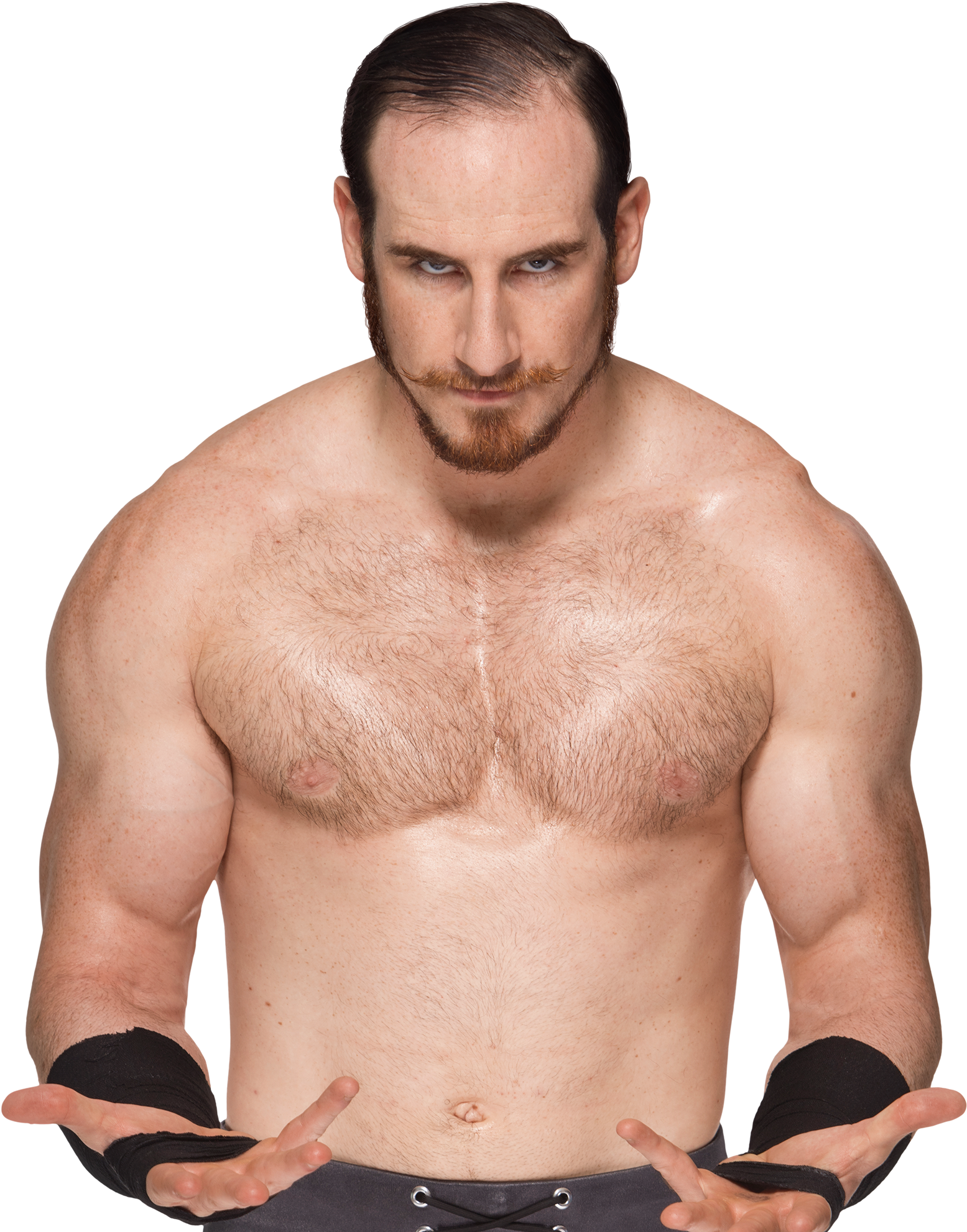 Asuka Wwe Png - Wwe Aiden English Png Clipart (1555x1982), Png Download