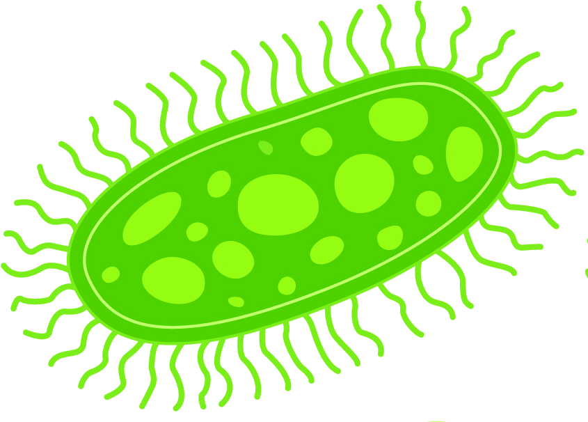 Clip Art - Png Download (900x605), Png Download