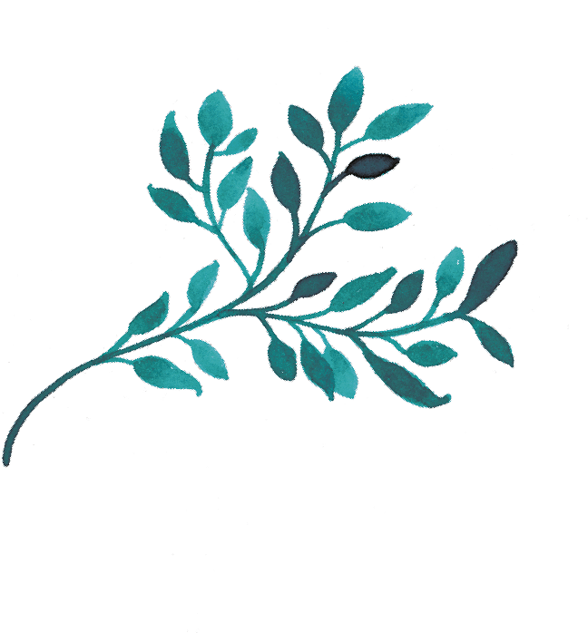 Aprende Conmigo A Escribir - Gambel Oak Clipart (812x832), Png Download