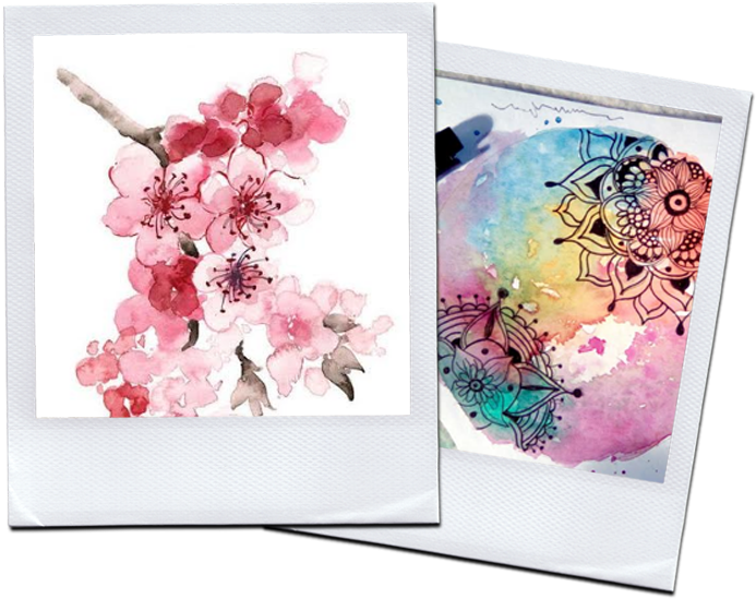 Solicitá Más Info Acá - Simple Watercolor Cherry Blossom Clipart (800x592), Png Download