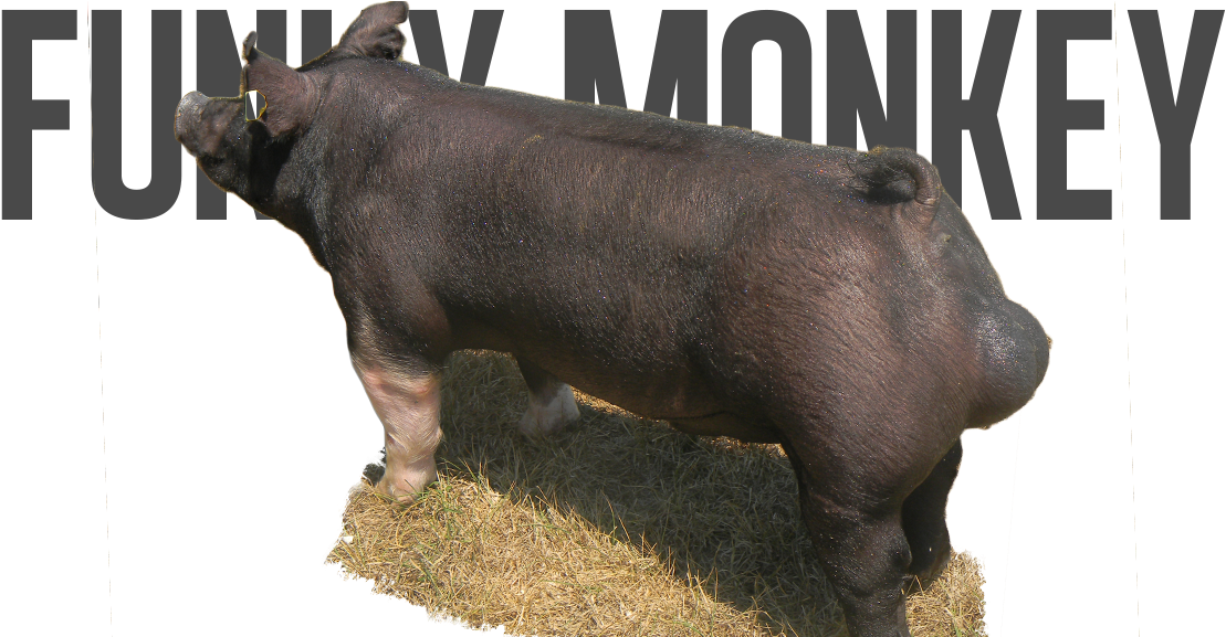 Fight The New Drug Logo Png Clipart (1131x576), Png Download