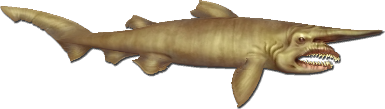 Bronze Hammerhead Shark , Png Download - Bronze Hammerhead Shark Clipart (1228x350), Png Download
