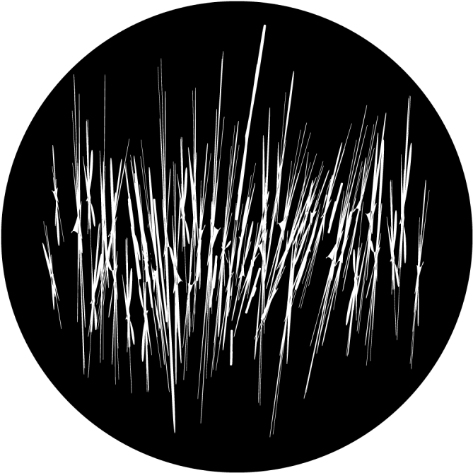 Grass Clipart (800x800), Png Download