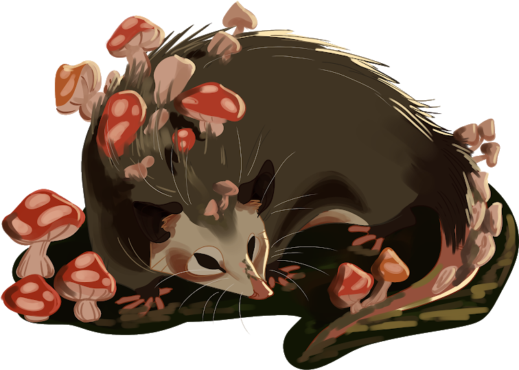 Mushroom Opossum - Illustration - Illustration Clipart (756x539), Png Download